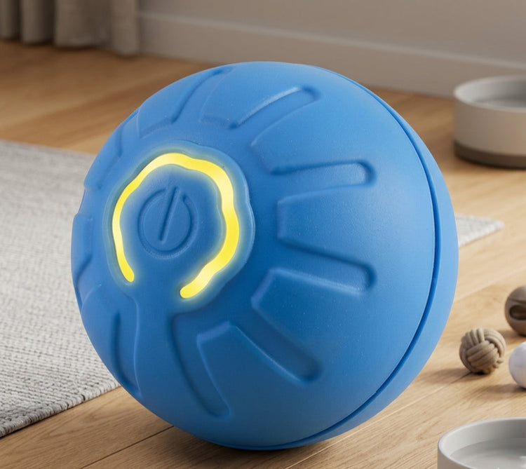 PET TOYS AND LIGHTS