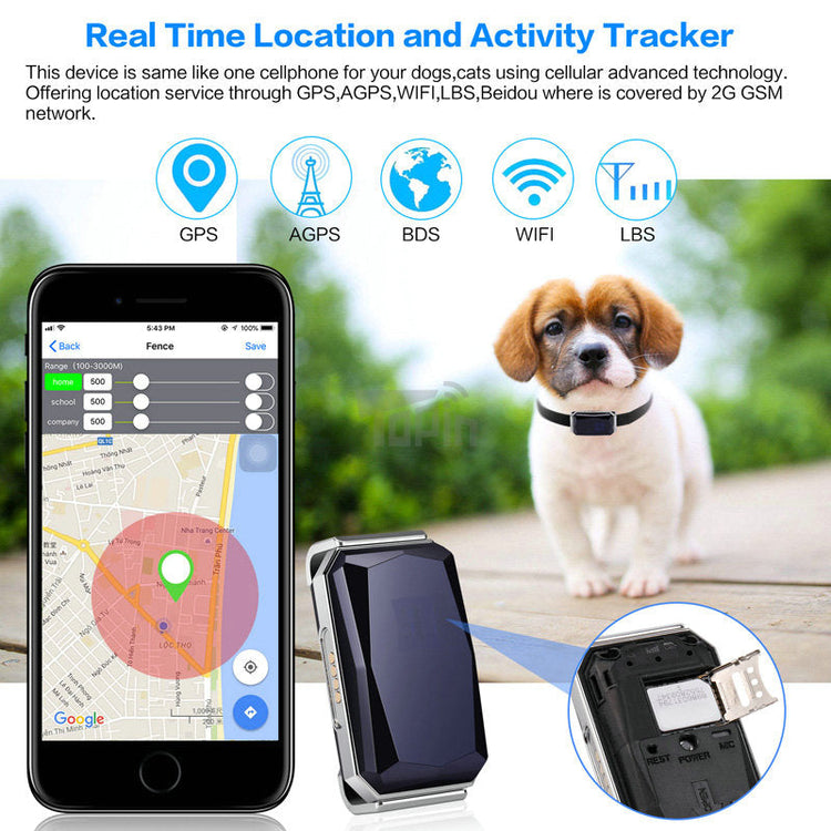 PET CAMERA AND TRACKERS