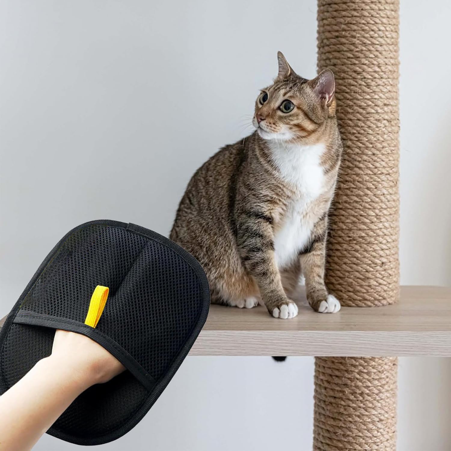 Muffy pet hair removal gloves with textured surface for effective fur removal from pets and furniture.