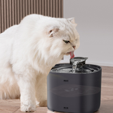 Muffy cat water fountain with multiple streams, designed to keep cats hydrated with a sleek, American standard style.