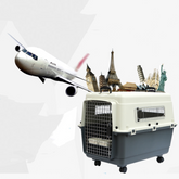 Muffy beige and white pet air travel box with blue accents, measuring 101x68x75cm, suitable for safe pet transport.