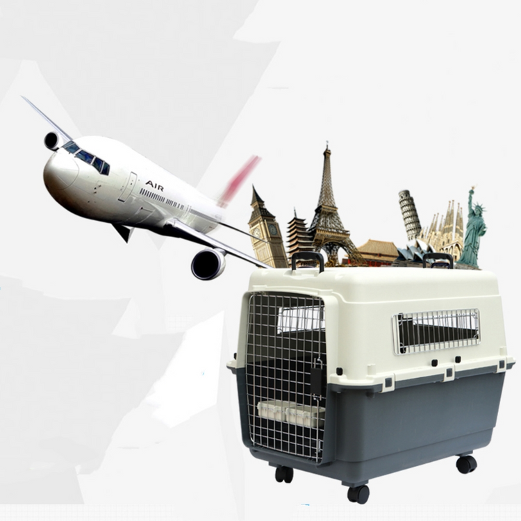 Muffy beige and white pet air travel box with blue accents, measuring 101x68x75cm, suitable for safe pet transport.