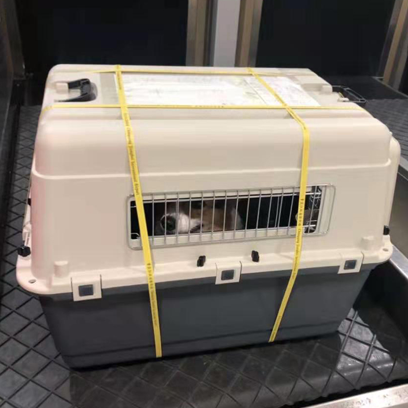 Muffy beige, white, grey, and blue pet air travel box with dimensions 101x68x75cm for safe pet transportation.
