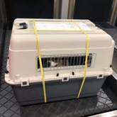 Muffy beige, white, grey, and blue pet air travel box with dimensions 101x68x75cm for safe pet transportation.