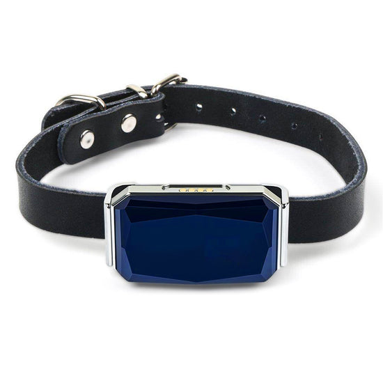 Blue Muffy GPS pet tracker collar for dogs, designed for lost pet location tracking and easy outdoor use.