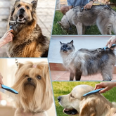 Dark blue Muffy professional double-sided pet grooming brush with OPP bag, 17x9cm, for effective pet coat grooming.