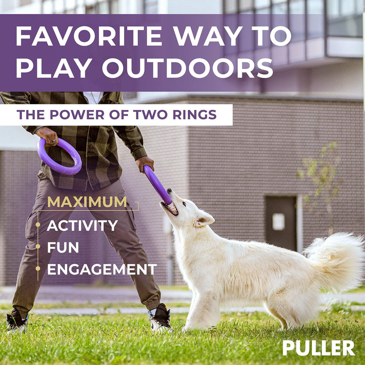 Muffy outdoor dog ring toy set with two standard-sized rings, perfect for fetch games with large dogs.