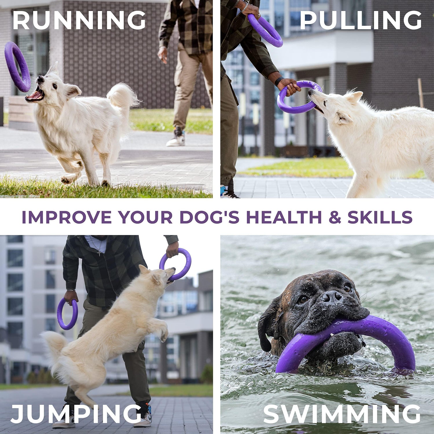 Muffy outdoor dog ring fetch toys for large dogs, featuring two standard-sized rubber rings for outdoor play and exercise.