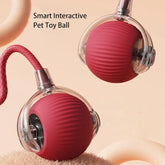 Green Muffy 360 Smart Automatic Rolling Pet Ball with 3-level adjustable settings for fun and exercise.
