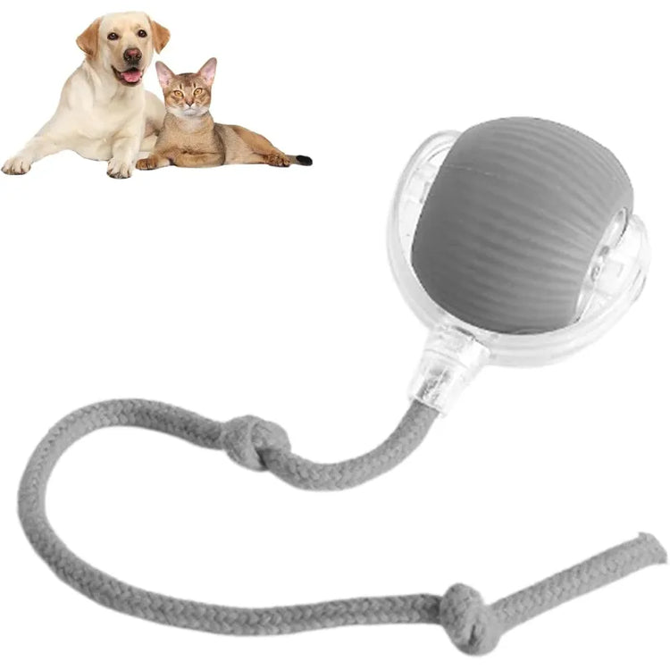 Green Muffy 360 Smart Automatic Rolling Pet Ball with 3-level adjustable settings for interactive pet play.