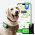 Muffy GlocalMe KeyTracker GPS tracker for dogs showing a small waterproof device with a screen and keyring attachment.