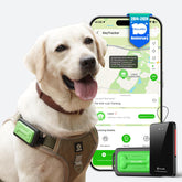 Muffy GlocalMe KeyTracker GPS tracker for dogs with real-time global pet tracking and waterproof design.