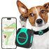 Muffy Woyamay GPS tracker for dogs and cats, mini waterproof pet tracker with health monitor and GPS fence on a collar.