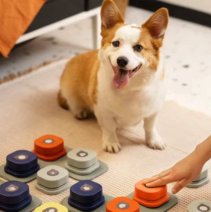 Colorful Muffy pet toy set with plush and squeaky toys for dogs and cats, designed for playful fun and entertainment.