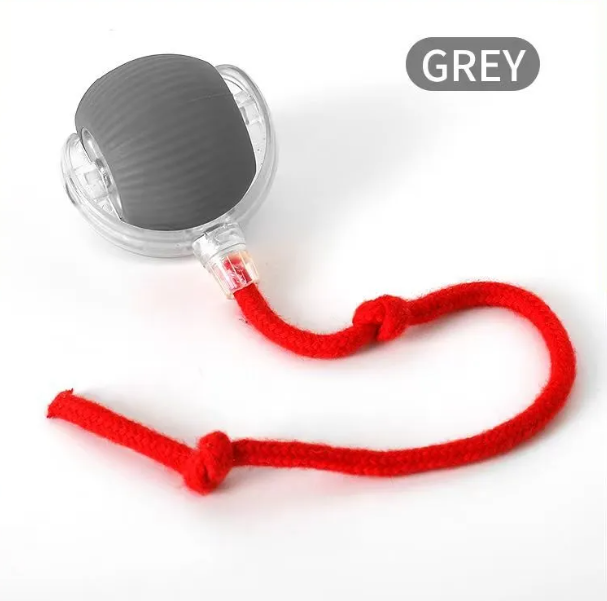 Green PurrPlay self-rolling cat toy ball by Muffy with attached rope, designed for playful cats to chase and bat.
